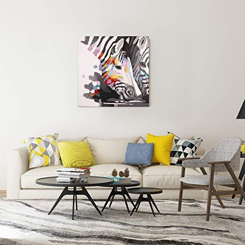 Bignut Art Paintings Hand Painted Oil Painting Funny Animal Zebra Wall Art on Canvas Framed Wall Decor for Living Room Bedroom Office (30x30 Inches, Zebra)