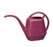 Bloem 2 Gallon Light Weight Traditional Watering Can, Slate Resin