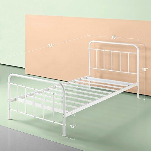 Zinus Florence Metal Platform Bed Frame / Mattress Foundation / No Box Spring Needed, Twin