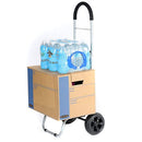 Trolley Dolly, Black Shopping Grocery Foldable Cart