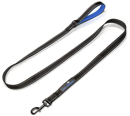 Paw Lifestyles Extra Heavy Duty Dog Leash - 6ft Long - 3mm Thick, Soft Padded Handle for Comfort - Perfect Leashes for Medium and Large Dogs