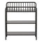 Little Seeds Rowan Valley Lanley Metal Crib and Changing Table Set, Black