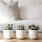 White Ceramic Succulent Pots with Bamboo Tray (Set of 3) | 4 Inch Succulent Planter Fits Larger Variety of Plants, Flowers & Cacti | Cute & Stylish Small Plant Pot with Drainage Hole