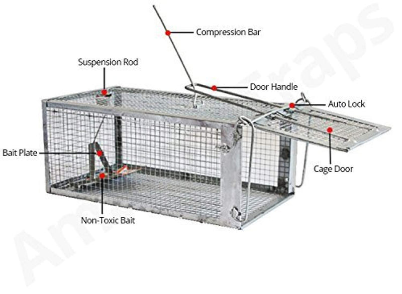 AmazingTraps The Amazing Humane Rat Trap w/Starter Bait - Catches Rats, Mice, Squirrels, Opossums, Moles, Weasels, Gophers, and Other Small Animals