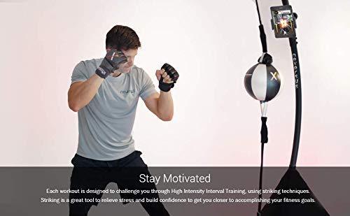 Nexersys Cross Body Trainer Interactive Double End Bag for Boxing, MMA, Fitness, Cardio, Core Strength - The Ultimate Boxing Experience, App Includes 10k HIIT Workouts and Teaches Proper Technique