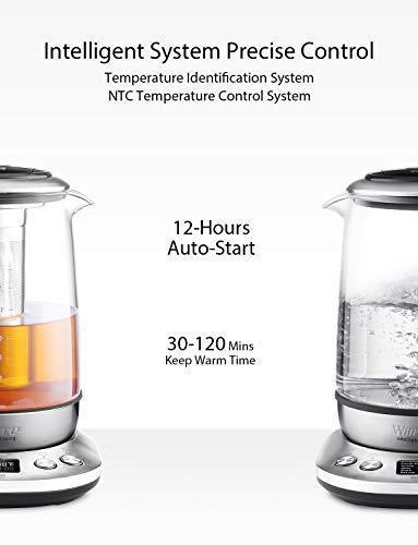 Electric Kettle, Willsence Electric Tea Kettle Stainless Steel Glass Boiler Hot Water Tea Heater with Temperature Control LCD Display, Removable Tea Infuser, 1.7 L, 1200W (Glass)