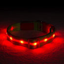 Blazin' Safety LED Dog Collar – USB Rechargeable with Water Resistant Flashing Light