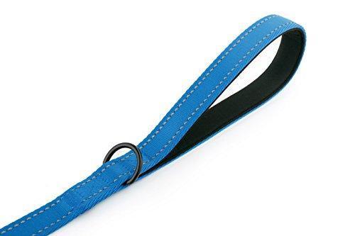 Primal Pet Gear Dog Leash 8ft Long - Traffic Padded Two Handle - Heavy Duty - Double Handles Lead for Control Safety Training - Leashes for Large Dogs or Medium Dogs - Dual Handles Leads