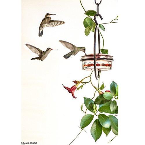 Mosaic Birds M045-301 Hummble Slim Hummingbird Feeder