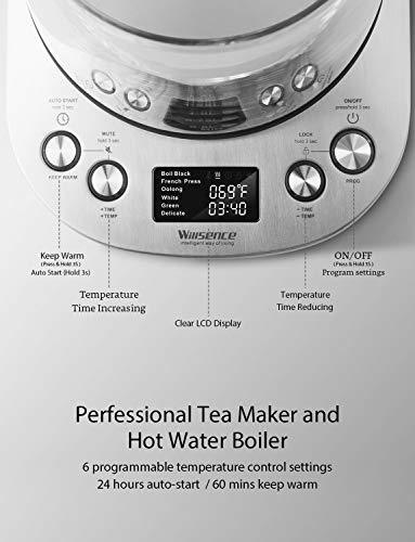 Electric Kettle, Willsence Electric Tea Kettle Stainless Steel Glass Boiler Hot Water Tea Heater with Temperature Control LCD Display, Removable Tea Infuser, 1.7 L, 1200W (Glass)