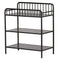 Little Seeds Rowan Valley Lanley Metal Crib and Changing Table Set, Black