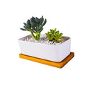 6.5 Inch Ceramic Rectangle Succulent Planter with Bamboo Saucer, Set of 2, White Modern Indoor Cactus/Flower Plant Pot with Drainage, Decoration for Desks/Bookshelves / Window Sills (A)