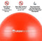 URBNFit Exercise Ball (Multiple Sizes) for Fitness, Stability, Balance & Yoga - Workout Guide & Quick Pump Included - Anti Burst Professional Quality Design