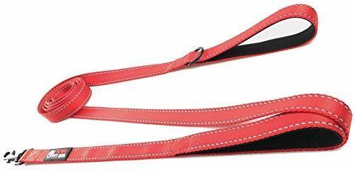 Primal Pet Gear Dog Leash 8ft Long - Traffic Padded Two Handle - Heavy Duty - Double Handles Lead for Control Safety Training - Leashes for Large Dogs or Medium Dogs - Dual Handles Leads