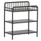 Little Seeds Rowan Valley Lanley Metal Crib and Changing Table Set, Black