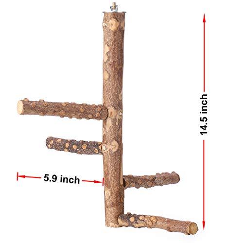 KinTor Bird Perch Nature Wood Stand for Small Medium Parrots