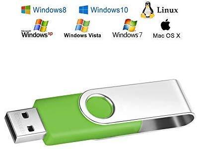 4GB Memory Stick USB 2.0 Flash Drive 10 Pack Bulk Thumb Drives 4 GB Portable Swivel Data Sticks Zip Drive Green PenDrive Jump Drive for Data Storage by FEBNISCTE