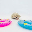 HAICHEN TEC 3.74 Inch Small Animal Hedgehog Fancy Mouse Bath Collar Ring Yellow Duck Transparent Swimming Rings Hamster Swim Life Jacket Float Coat Photo Shoot Toy Cage Accessories(6 Pack)