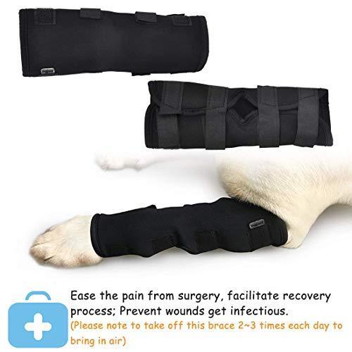 SEISSO Dog Brace for Canine Leg Wound Care, Band Healing Recovery, Sprains Helps with Loss of Stability Caused by Arthritis, Dog Rear Leg Braces