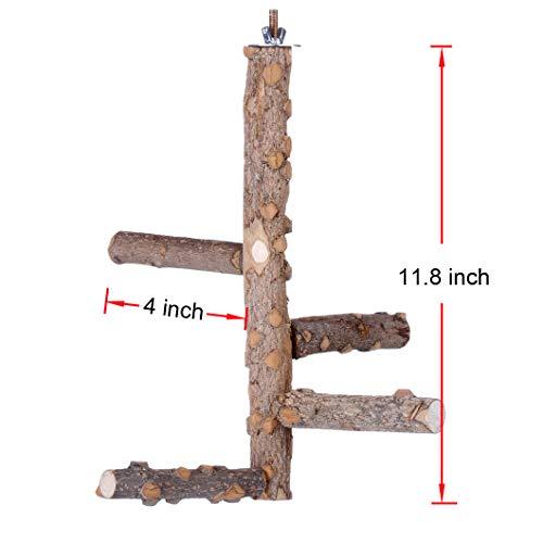 KinTor Bird Perch Nature Wood Stand for Small Medium Parrots