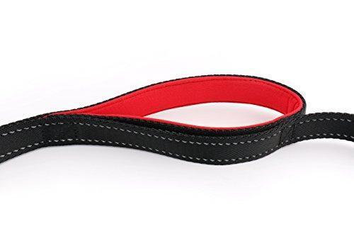 Primal Pet Gear Dog Leash 8ft Long - Traffic Padded Two Handle - Heavy Duty - Double Handles Lead for Control Safety Training - Leashes for Large Dogs or Medium Dogs - Dual Handles Leads