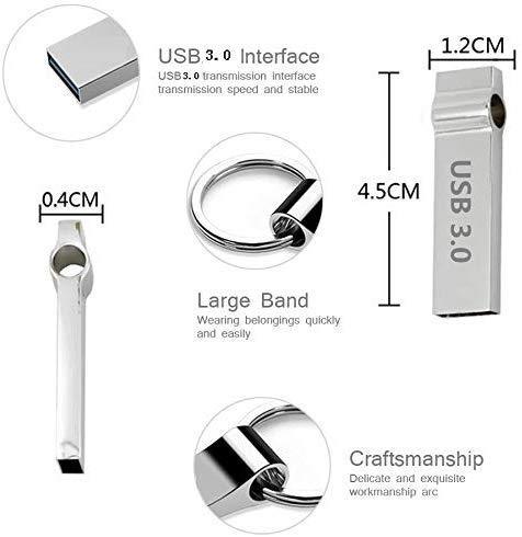 DXBUFU 256GB Silver Metal Compatible 2.0 &3.0 256GB USB Flash Drive, Portable Waterproof Metal Pen Drive Storage Keychain Thumb Drive Memory Stick with Anti-Lost Keychain (256GB)