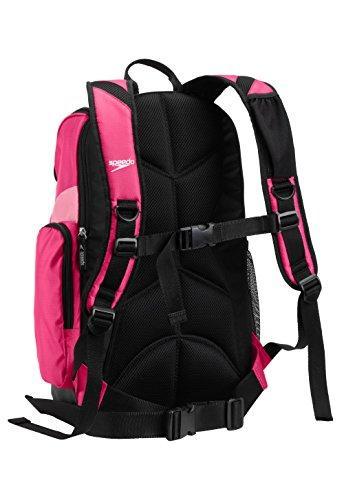 Speedo Large Teamster Backpack, 35-Liter