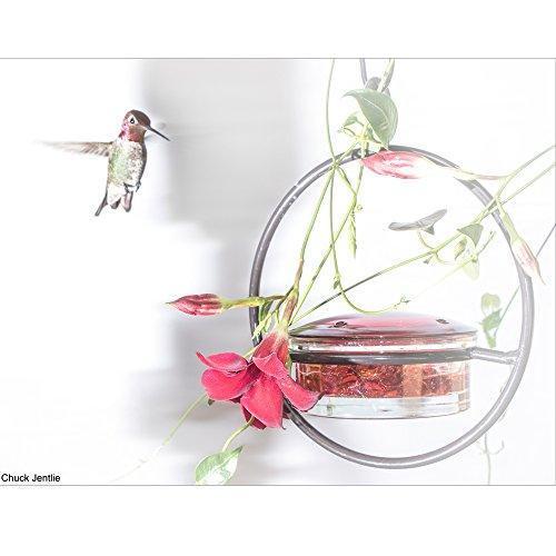 Mosaic Birds M045-301 Hummble Slim Hummingbird Feeder