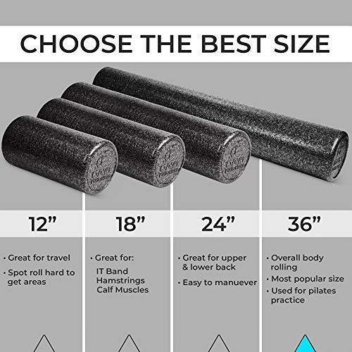 High Density Muscle Foam Rollers by Day 1 Fitness – 4 SIZE OPTIONS and 7 COLORS TO CHOOSE FROM - Sports Massage Rollers for Stretching, Physical Therapy, Deep Tissue and Myofascial Release -Exercise