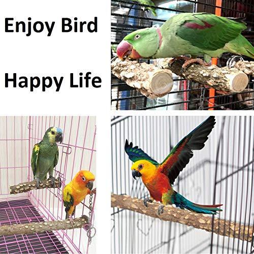 MwaBaiTx Natural Parrot Perch Set, Bird Chewing Toys Bird Perch Bird Stand Bird Cage Accessories