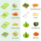 Vegetable Chopper Mandoline Slicer Dicer Cutter Peeler 13 In 1 Pro Manual Veggie Fruits Cheese Julienne Grater Squeezer Set 8 Blades With Cleaning Tool Hand Protector Container For Kitchen