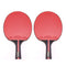 SSHHI 5-Star Table Tennis Bats,2 Pcs Ping Pong Paddle,Indoor or Outdoor Game, Solid/As Shown/A