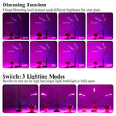 High Brightness 36w Grow Light,Auto ON & Off Every Day with Cycle Timer Desktop Plant Light,8 Dimmable Levels,4/8/12H Cycle Timing for Indoor Greenhouse Growing Lamps
