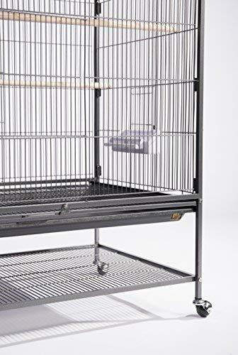 Prevue Hendryx Pet Products Wrought Iron Flight Cage