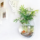 Sweetsea Hanging Wall Mounted Fish Bowl Aquaponic Tank Aquariums Plant Fish Bubble - Clear (Medium)