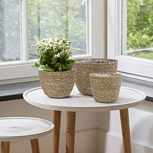 La Jolíe Muse Natural Seagrass Planter Basket (3-Pack), Plant Pot Cover, Indoor Plant Pots (10 Inch)