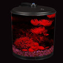 Koller Products AquaView 2-Gallon 360 Fish Tank with Power Filter and LED Lighting - AQ360-24C