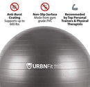 URBNFit Exercise Ball (Multiple Sizes) for Fitness, Stability, Balance & Yoga - Workout Guide & Quick Pump Included - Anti Burst Professional Quality Design