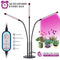 High Brightness 36w Grow Light,Auto ON & Off Every Day with Cycle Timer Desktop Plant Light,8 Dimmable Levels,4/8/12H Cycle Timing for Indoor Greenhouse Growing Lamps