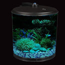 Koller Products AquaView 2-Gallon 360 Fish Tank with Power Filter and LED Lighting - AQ360-24C