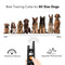 Dog Training Collar - Rechargeable Dog Shock Collar w/3 Training Modes, Beep, Vibration and Shock, 100% Waterproof Training Collar, Up to 1000Ft Remote Range, 0~99 Shock Levels Dog Training Set by DOG CARE