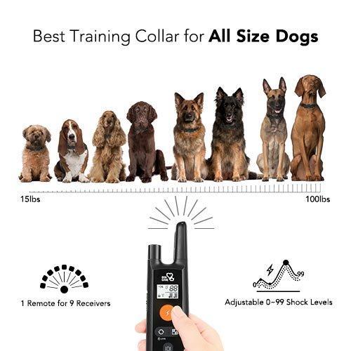 Dog Training Collar - Rechargeable Dog Shock Collar w/3 Training Modes, Beep, Vibration and Shock, 100% Waterproof Training Collar, Up to 1000Ft Remote Range, 0~99 Shock Levels Dog Training Set by DOG CARE