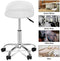 Adjustable Hydraulic Rolling Swivel Salon Stool Chair Tattoo Massage Facial Spa Stool Chair with Back Rest (PU Leather Cushion) (1PCS)