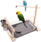 QBLEEV Parrots Playstand Bird Playground Wood Perch Gym Stand Playpen Ladder with Toys Exercise Playgym for Conure Lovebirds