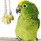 BWOGUE 5pcs Bird Parrot Toys Hanging Bell Pet Bird Cage Hammock Swing Toy Hanging Toy for Small Parakeets Cockatiels, Conures, Macaws, Parrots, Love Birds, Finches