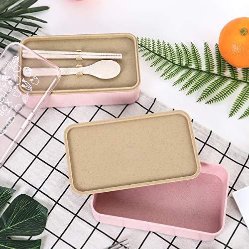 Buringer Lunch Bento Box Food Storage 2 Square Containers for Adults School Work Wheat Grass BPA Free Leak Proof with Chopsticks and Spoon (Long Khaki)