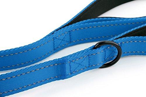 Primal Pet Gear Dog Leash 8ft Long - Traffic Padded Two Handle - Heavy Duty - Double Handles Lead for Control Safety Training - Leashes for Large Dogs or Medium Dogs - Dual Handles Leads