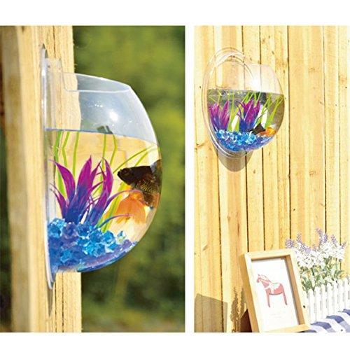 Sweetsea Hanging Wall Mounted Fish Bowl Aquaponic Tank Aquariums Plant Fish Bubble - Clear (Medium)