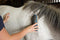 Oster Equine Care Series 7-Piece Grooming Kit