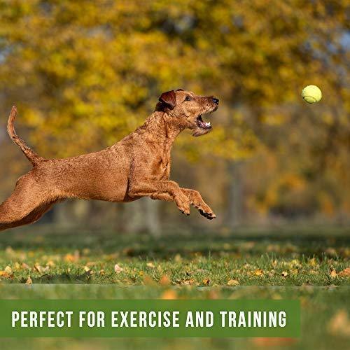 Hyper Pet K9 Kannon K2 Ball Launcher Interactive Dog Toys (Load and Launch Tennis Balls for Dogs To Fetch) [Best Dog Toys for Small and Large Dogs - Available in 2 Sizes]